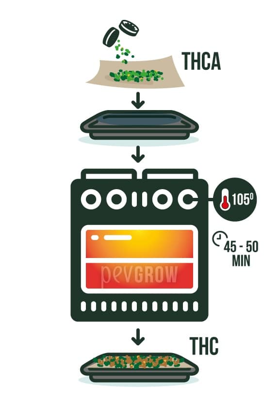 Image avec les étapes de décarboxylation du cannabis dans le four