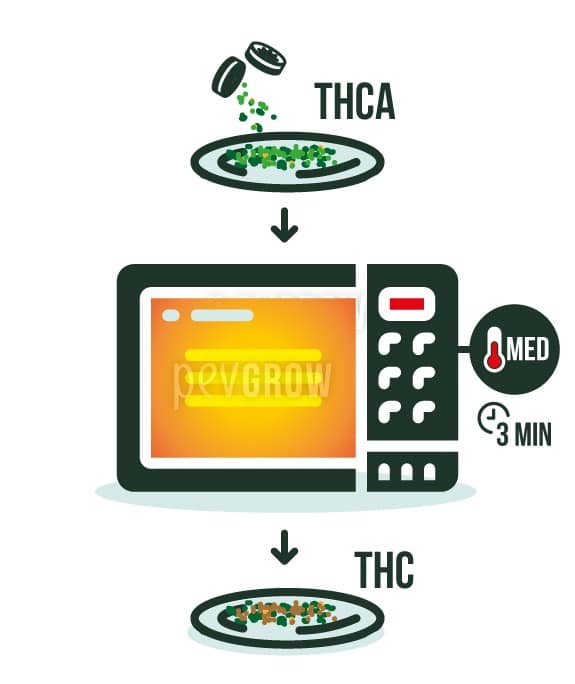 Imagen donde se ve un microondas con cogollos de cannabis*