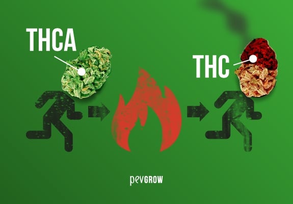 Imagen representando la transformación del THCA en THC por el proceso de descarboxylación