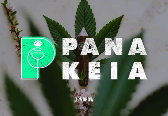 Panákeia, variété de marijuana avec CBG