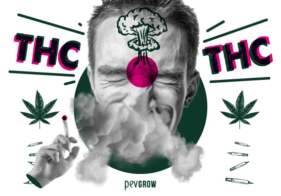 Image d'un homme fumant du cannabis avec un puissant effet cérébral