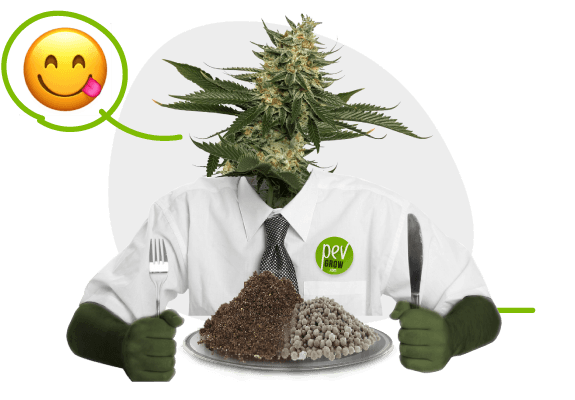 Imagen simulando una planta de marihuana trajeada sentada preparada para degustar una variedad de nutrientes.