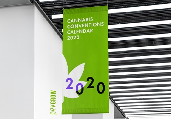 The 2020 Marijuana Conventions