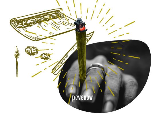 Comment bien rouler un blunt ? Guide étape par étape