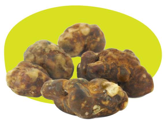 Image where you can see fresh magic truffles ready to be sold*.