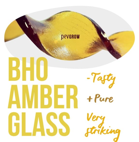 Photography of an Amber Glass display*