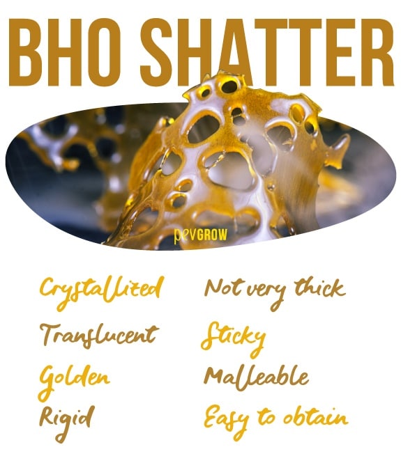 bho shatter prices