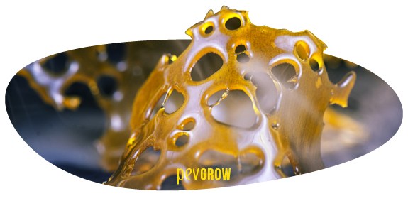 Image of Shatter type BHO perfectly purged*