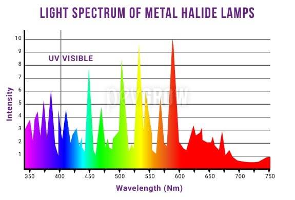 Graph representing the spectrum of light emitted by Metal Halide lamps*