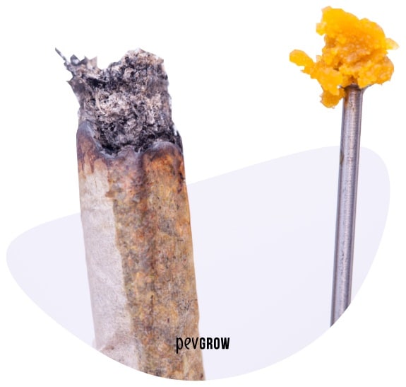 Photograph of a BHO joint and dab*