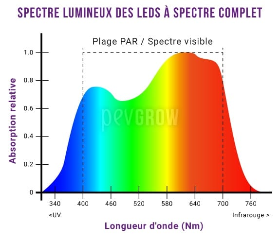 Graphique montrant le spectre lumineux presque parfait des LEDs à spectre complet*