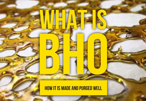 What is BHO? How it is made and purged well