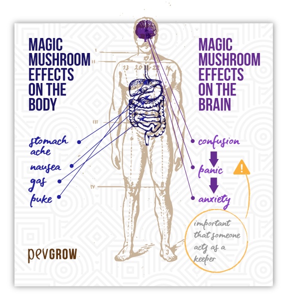 Image showing the side effects of eating hallucinogenic truffles or mushrooms*