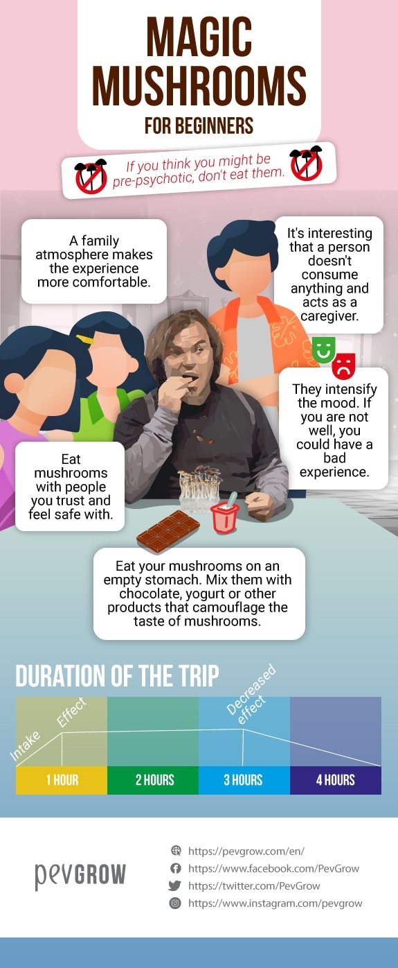 Infographic that represents the requirements to enjoy a magic mushroom trip being a beginner*