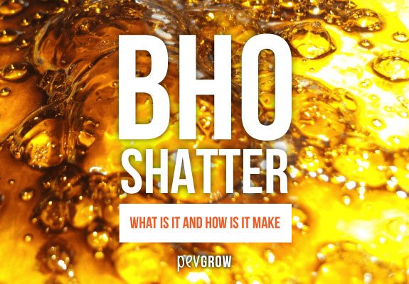 What is BHO Shatter and how to make it??