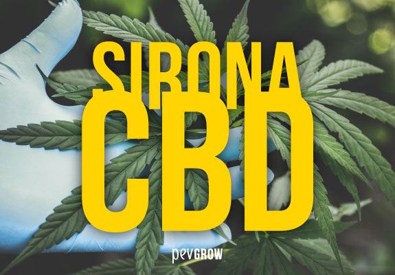 Sirona CBD de PEV Seeds, Semillas de Marihuana con alto CBD y bajo THC