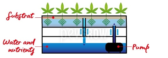 Image of a graphic design representing how works a hydro crop*