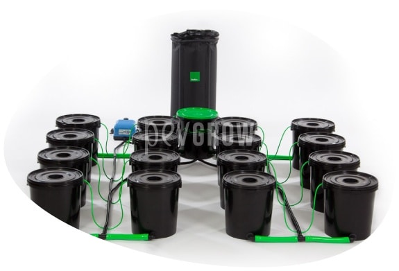 Image of a 12-storey DWC hydroponic system