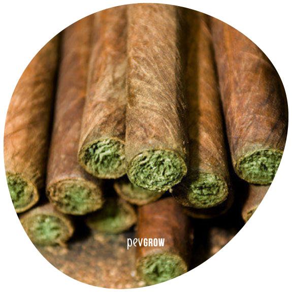 Image of several joints with Blunt paper stacked up*