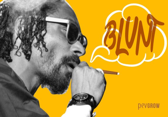  Blunts: Was das ist und wie man sie dreht