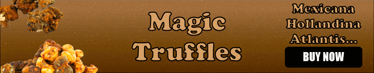 Buy Magic Truffles