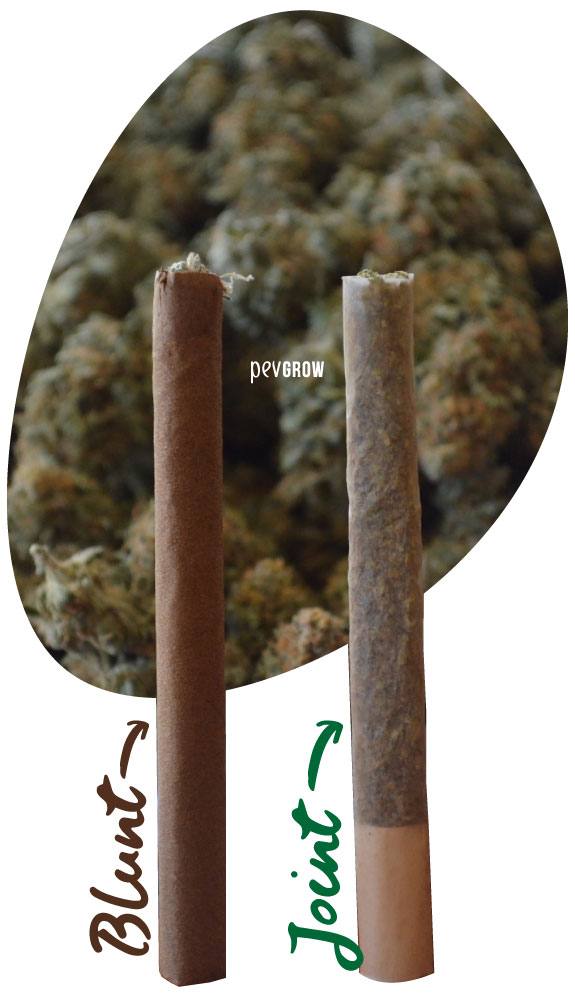 Photo où l'on peut voir la différence entre un joint normal et un joint Blunt*