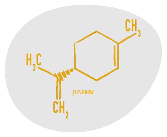 Immagine della struttura chimica del limonene *