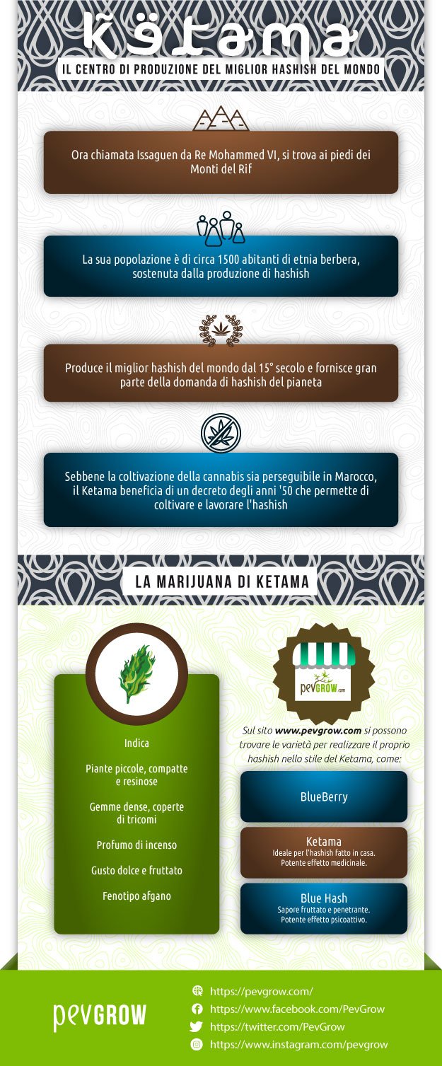Infografica sulla marijuana del Ketama