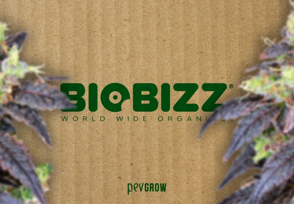 Dem Biobizz-Zuchtplan folgen