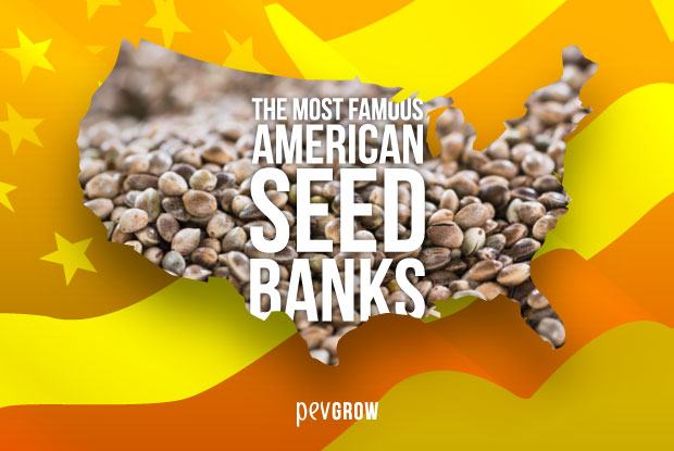 Well-known American seed banks