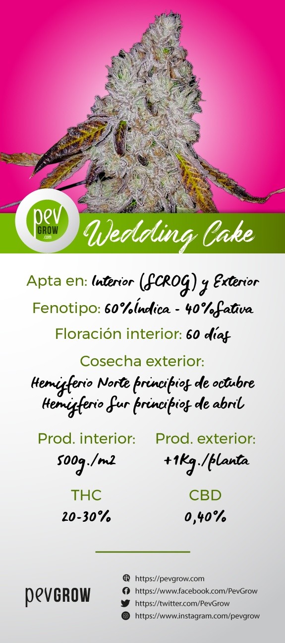 Caracteristicas de la variedad Wedding Cake