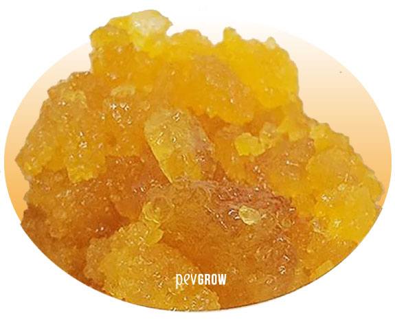 Photo BHO Live Resin de GG Strain*