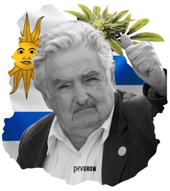 Fotografia de Pepe Mujica, o grande impulsor da legalização da maconha no Uruguai*