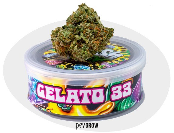 Photo of a can of Gelato sold in a U.S. dispensary*