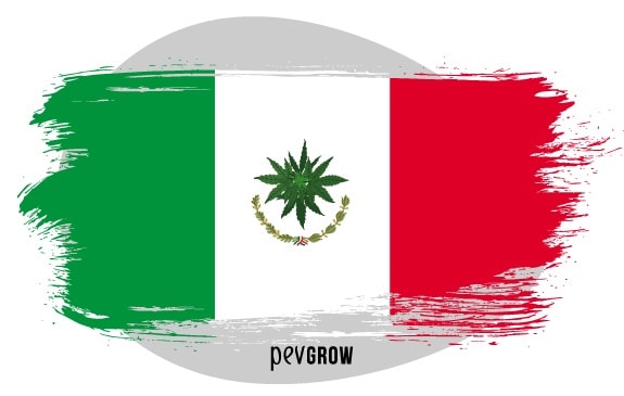 Image of a Mexican flag where the eagle has been exchanged for a mote leaf*