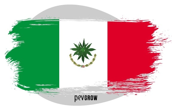 Imagem de uma bandeira mexicana à qual mudaram a águia por uma folha de maconha*