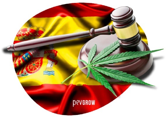 Imagem onde se vê uma planta de maconha ao lado de um martelo de juiz sobre um fundo com a bandeira espanhola*