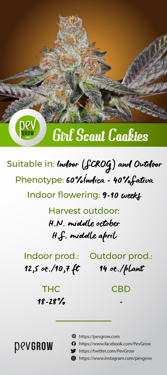 Infographic with the characteristics of the Girl Scout Cookies variety*