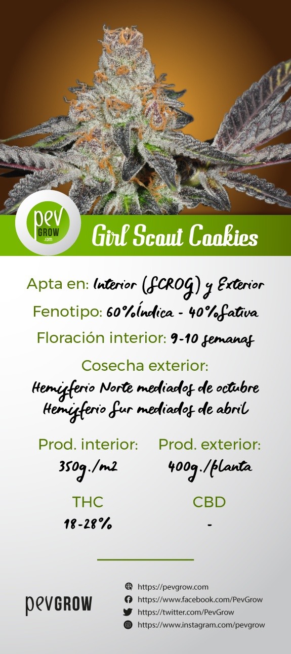Infografik mit den Eigenschaften der Sorte Girl Scout Cookies*