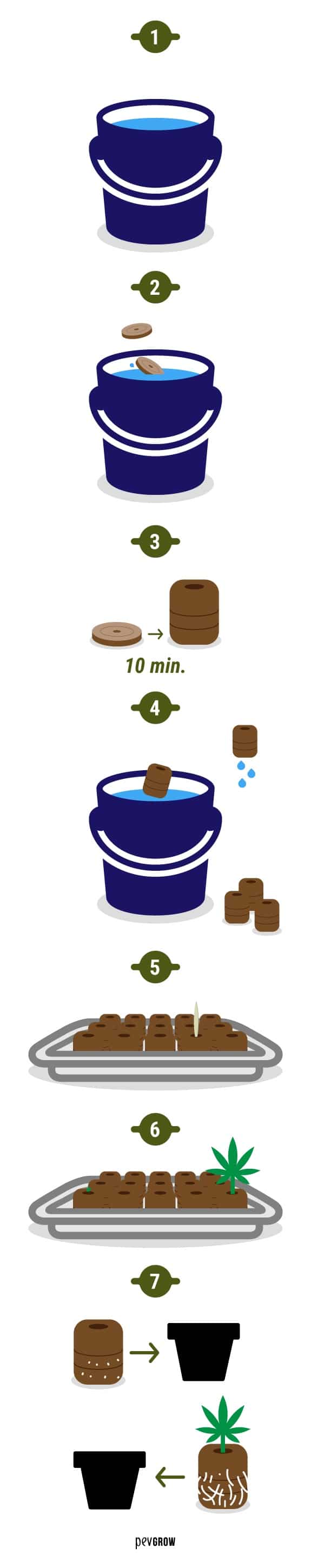 Infographics representing how to use a jiffy pellet*