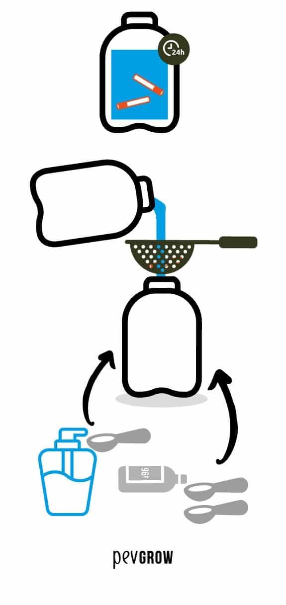 Homemade insecticide preparation to eliminate whitefly*