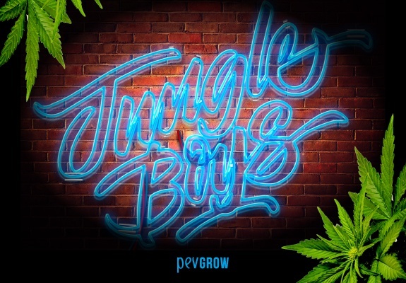 Wall image with a "Jungle Boys" light panel.