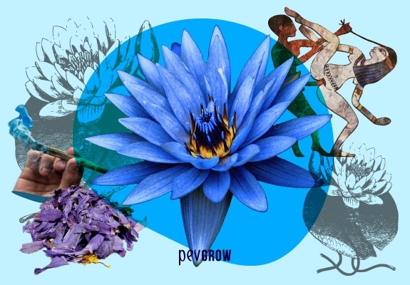 Photo d'une fleur de lotus entourée de ses utilisations et de ses effets en images