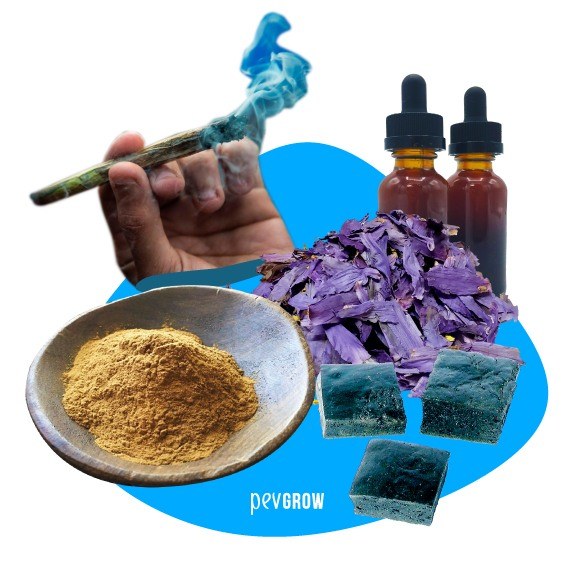 How to make blue lotus tea & its effects – we have everything you need –  T-Swing