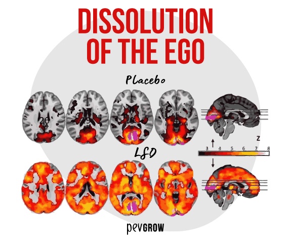 Image that shows in a scientific way the "dissolution of the ego”*