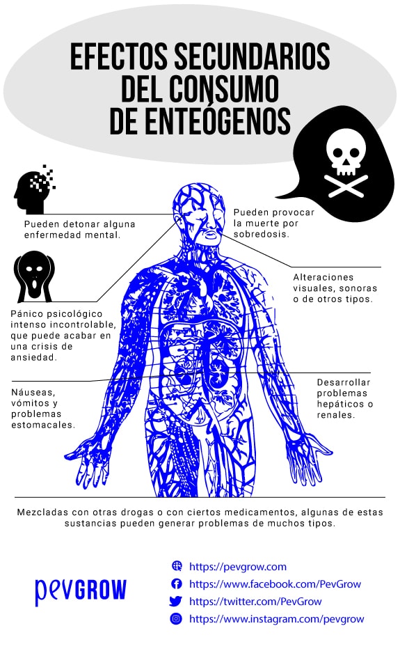 Efectos secundarios del consumo de enteógenos