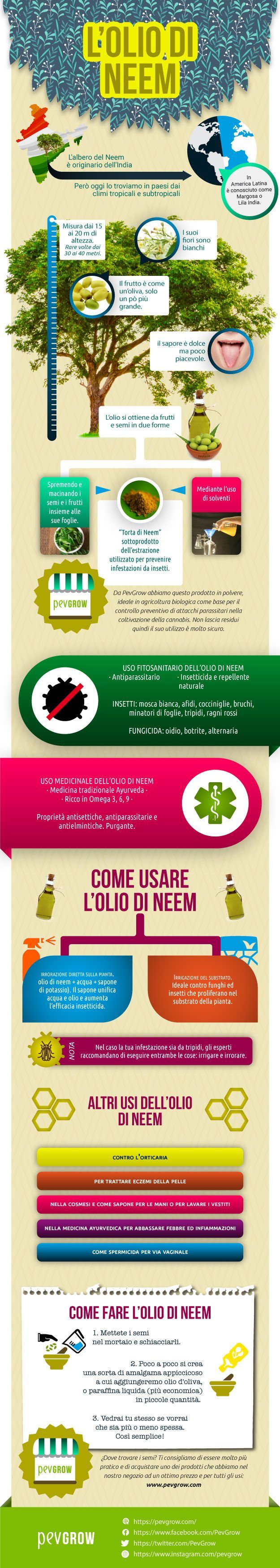 Infografica dell’olio di neem