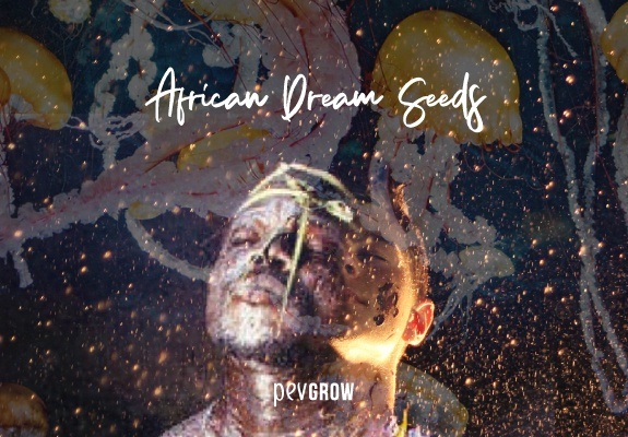 Imagen de un chaman soñando despues de consumir African Dream seeds