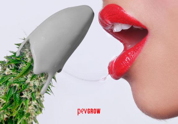 Image of a female mouth about to lick a bud spread with cream