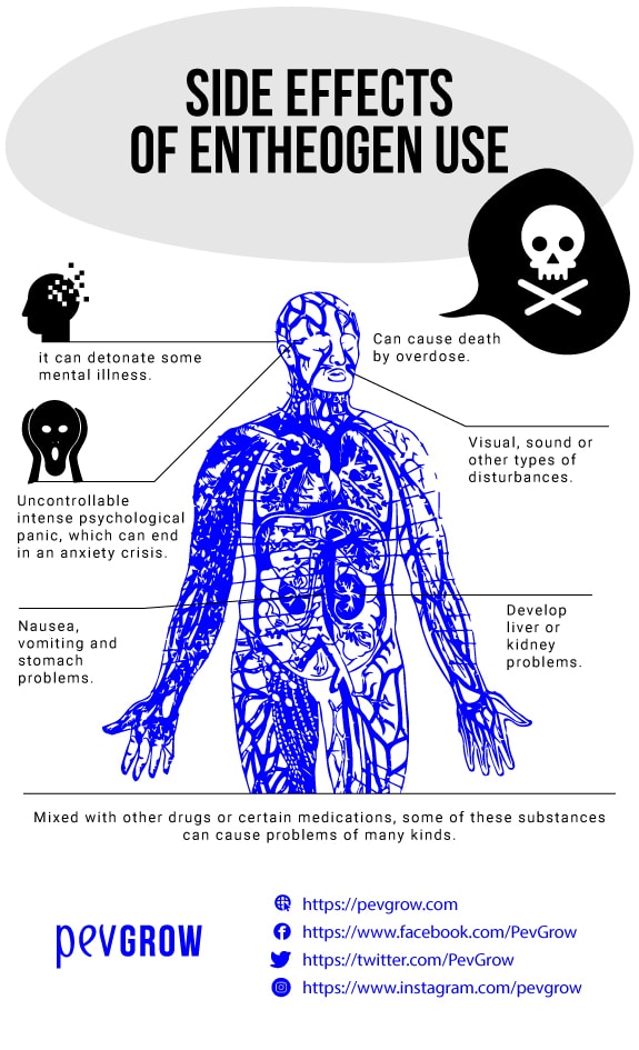 Side effects of the consumption of entheogens*